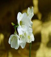 聊城十二生肖看看你的幸运数字是什么吧！