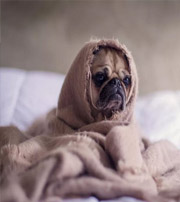 聊城有这样的手机号码，留不住钱，你中枪了吗？