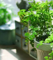 聊城专属于你的开运指南，助你鸿运当头福满身！