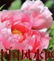 聊城预示你财运上升，姻缘可成的梦境，快来看看吧！
