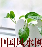 聊城家中摆放六种吉祥物，会打开您的财运大门！
