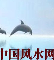 聊城做梦梦到这些，是要富裕的征兆！