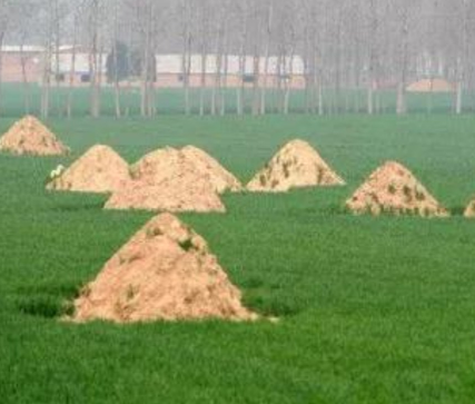 聊城阴宅风水：形峦三十六绝